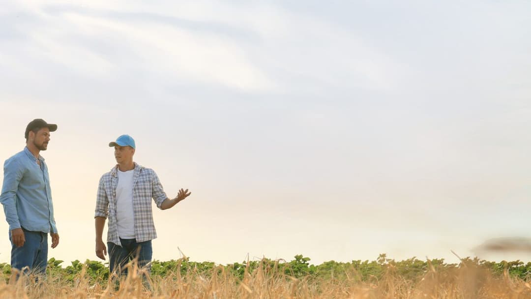 AgraCity’s Product Performance Guarantee: Peace of Mind in the Ever-Changing Farming Landscape