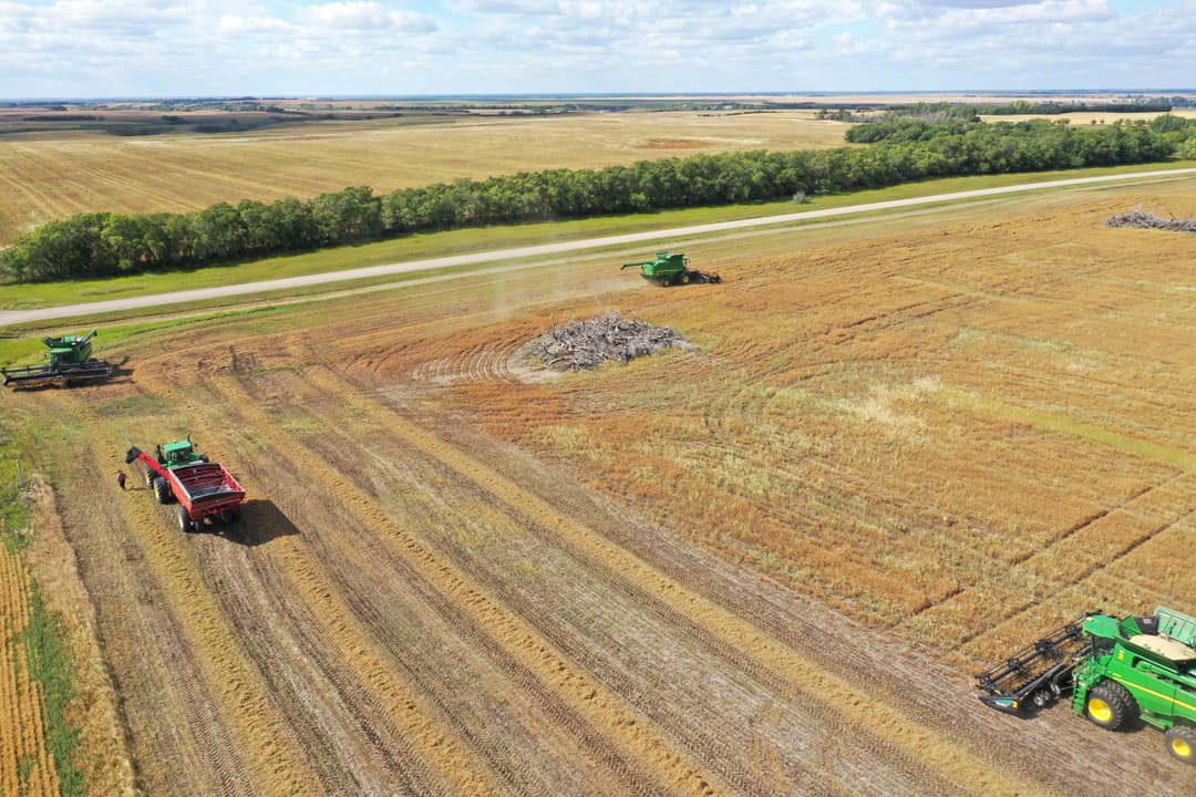 How Can You Maximize the Performance of Your Post-Harvest Herbicide This Year?